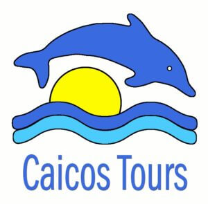 Caicos-Tours-Logo-Hi-Res-Opt-800x786 for Home